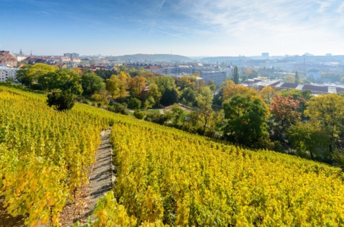 grebovka havlickovy sady praha vyhlidka vyhled