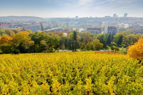 grebovka havlickovy sady praha vyhlidka vyhled