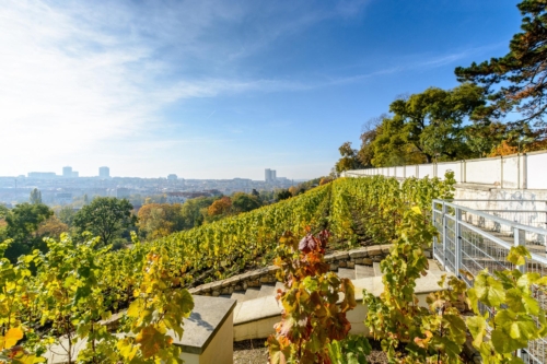 grebovka havlickovy sady praha vyhlidka vyhled