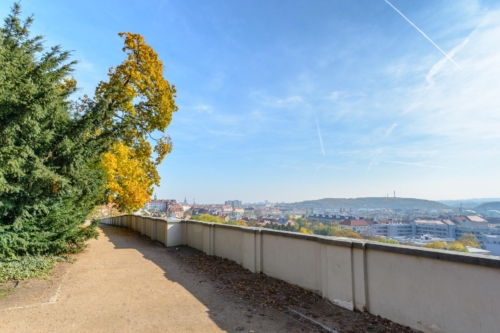 grebovka havlickovy sady praha vyhlidka vyhled