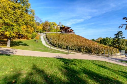 grebovka havlickovy sady praha vyhlidka vyhled